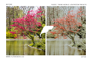 Faded Mobile Lightroom Presets, an Action Add-On by Filtercrave (Thumbnail 4 of 9)