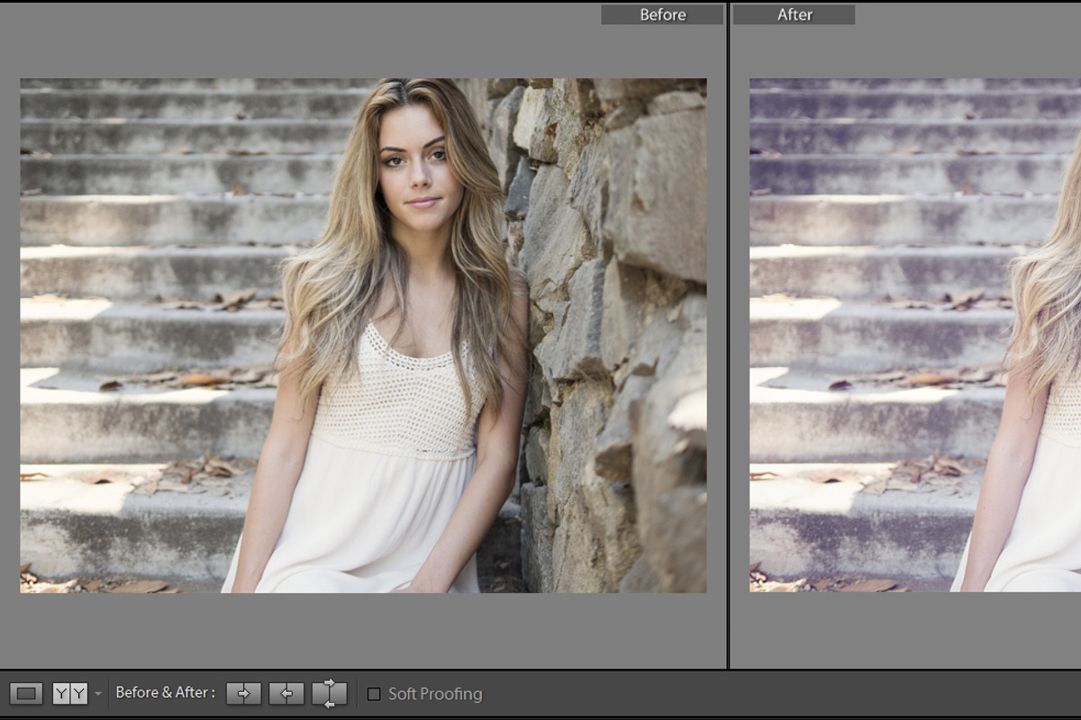 Cinematic Lightroom Preset By Cmsvec, a Plug-in Add-On by CMSvec (Photo 5 of 10)