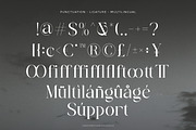 Brettaline - Family Serif Font, a Serif Font by Flawless And Co (Thumbnail 9 of 10)