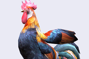 3DRT - Domestic Animals - Rooster