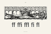 Minval Flare | Modern Flare Font, a Serif Font by Tiga Type (Thumbnail 13 of 14)