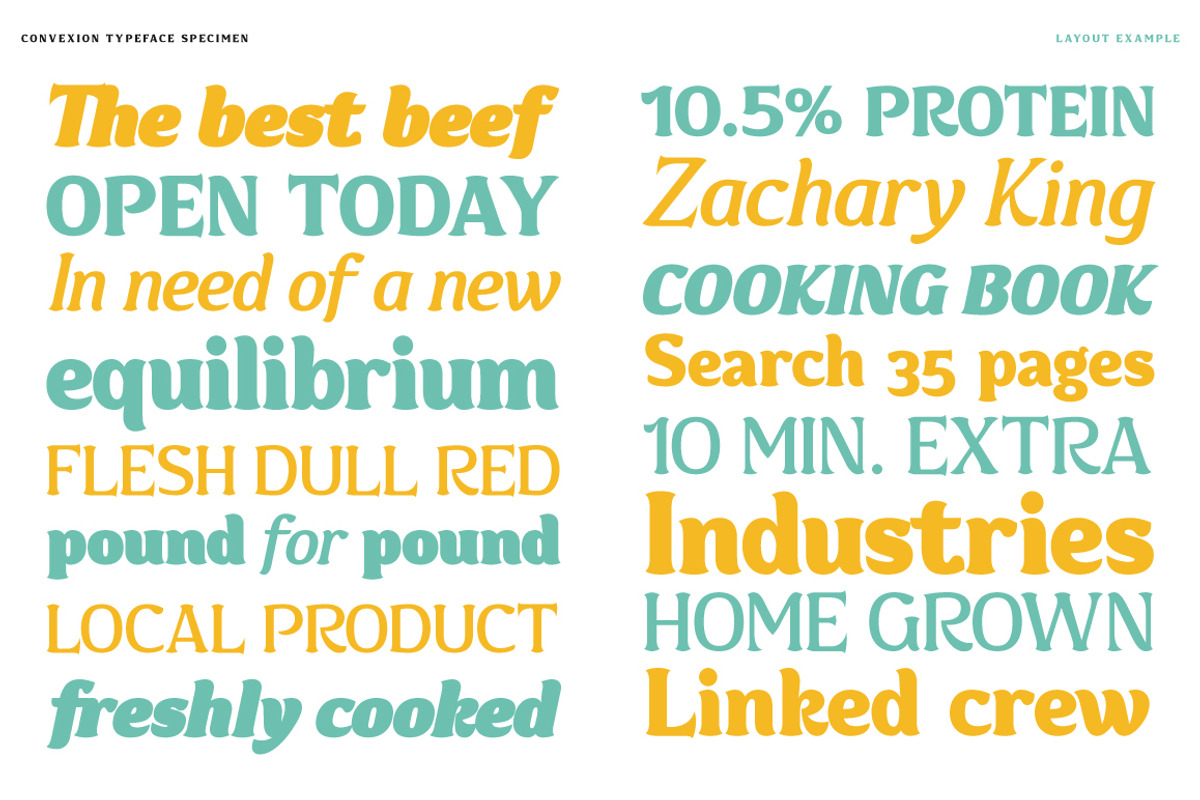 Convexion, a Serif Font by Typogama (Photo 6 of 10)