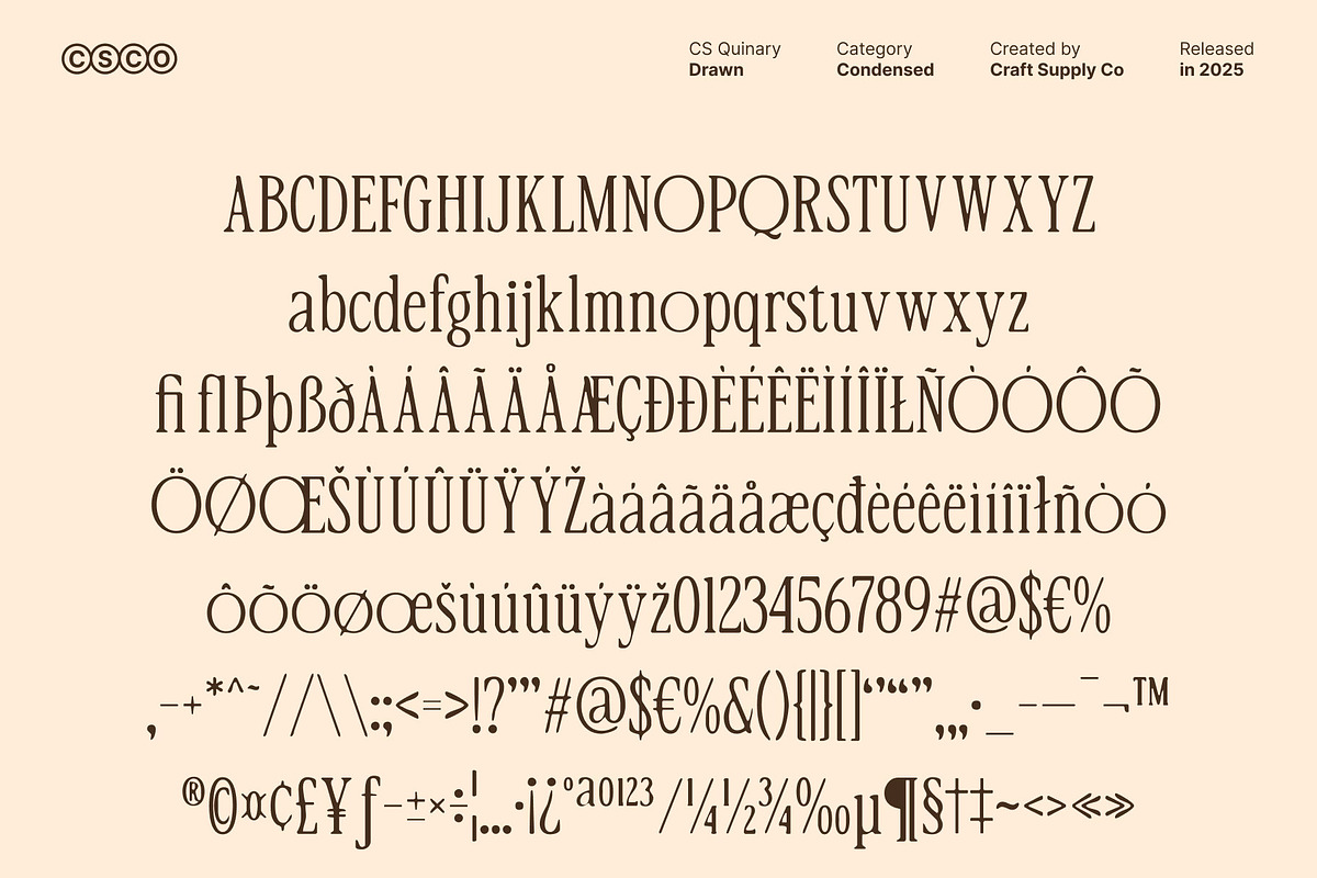 CS Quinary Drawn, a Serif Font by Craft Supply Co. (Photo 8 of 8)