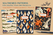60 Vintage Marine Creatures, an Illustration by The Object Atlas (Thumbnail 7 of 8)