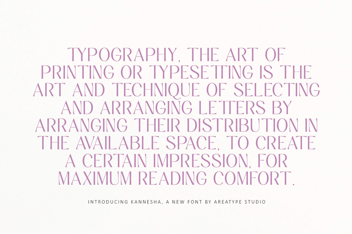 Kannesha Sans Serif (18 fonts), a Sans Serif Font by Areatype (Photo 13 of 13)