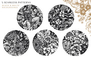 Day and Night. Vector Floral Set, a Pattern Graphic by Molly art (Thumbnail 12 of 14)
