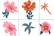 Desert Rose Botanicals Collection, a Pattern Graphic by Nora Gad (Thumbnail 17 of 19)
