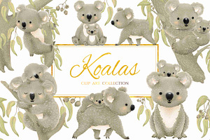 Koalas Collection 22 Elements