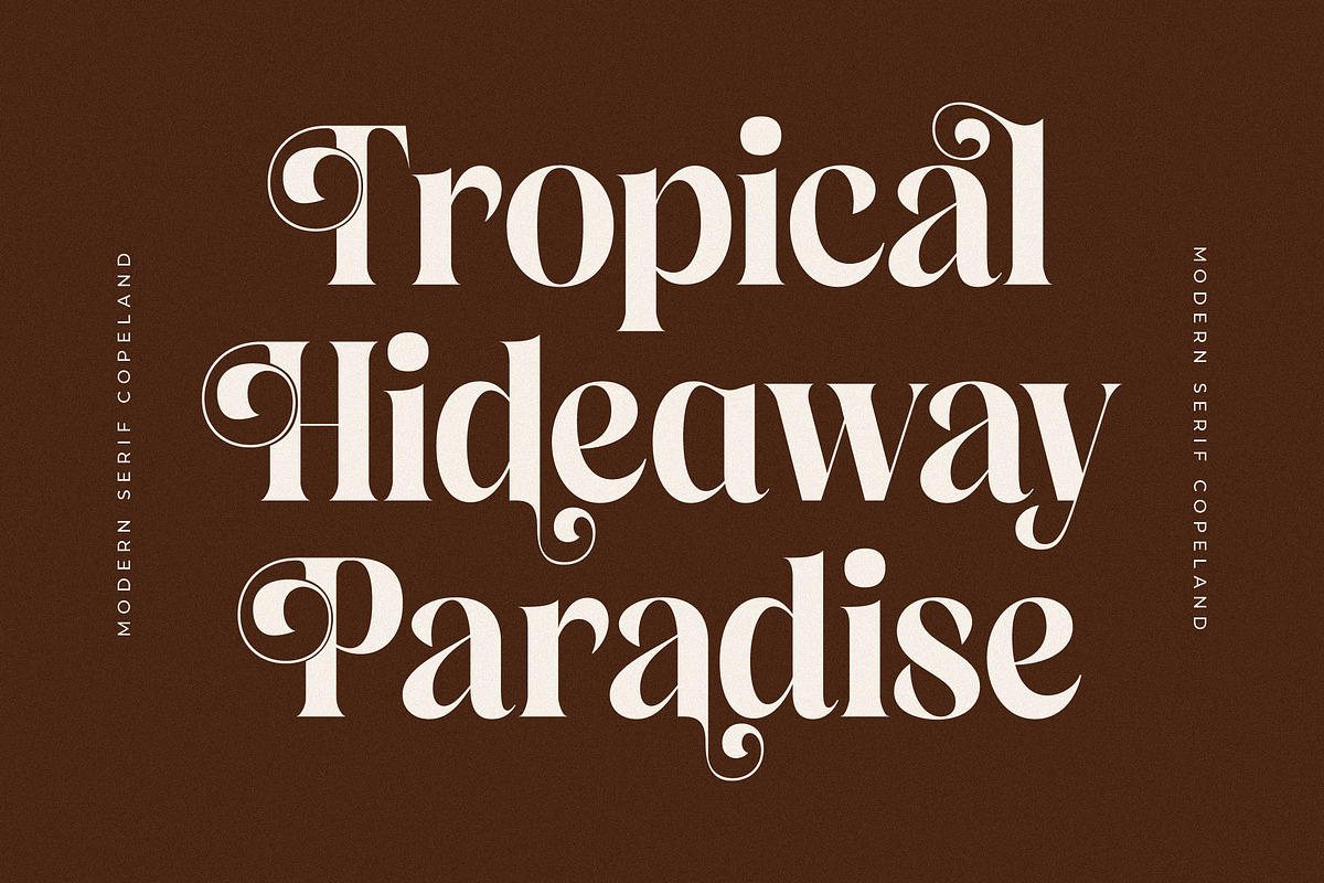 Copeland New Modern Serif Font, a Serif Font by Storytype Studio (Photo 5 of 15)