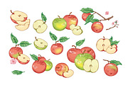 Vintage apples, hand drawn set, a Food Illustration by Good Studio (Thumbnail 3 of 5)