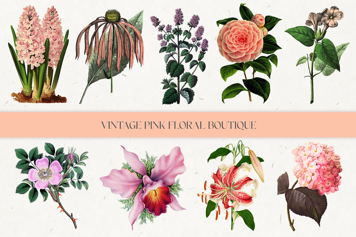 Vintage Pink Floral Boutique Clipart, a Seasonal Illustration by Patterns for Dessert (Photo 1 of 5)