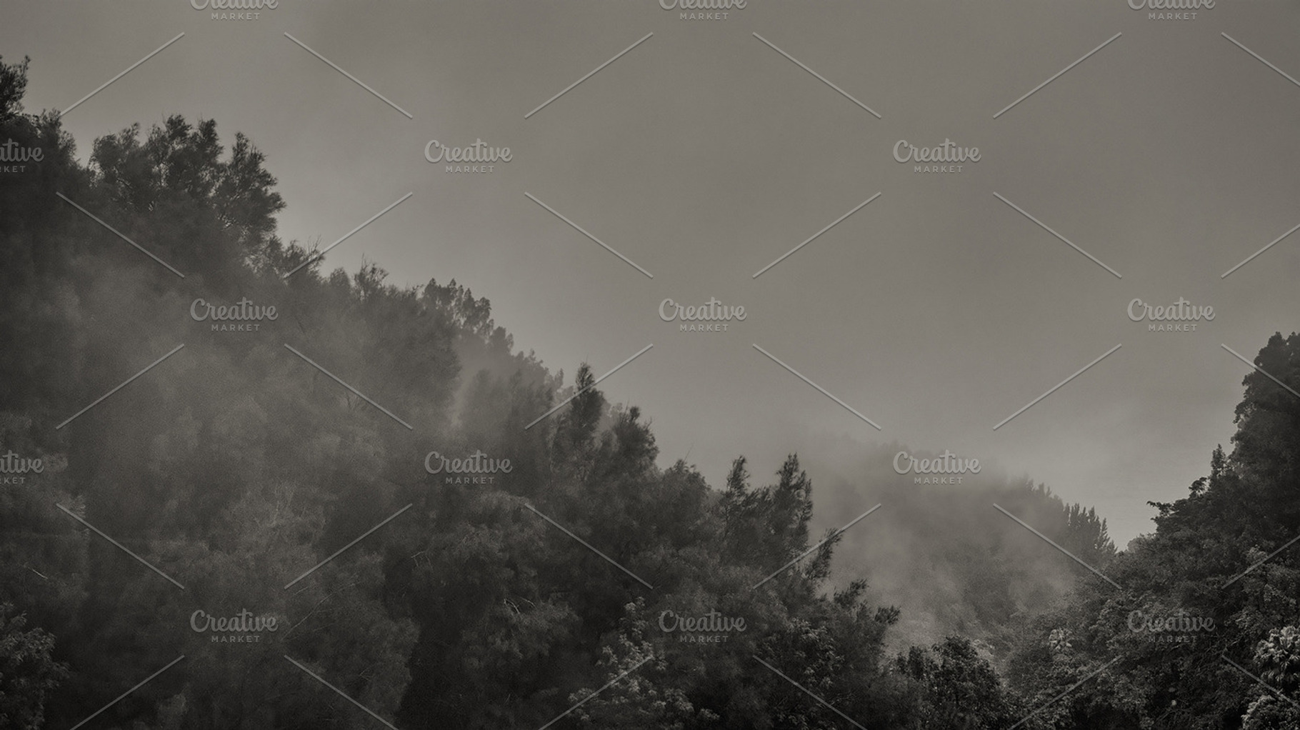 Foggy mountain forest landscape, a Nature Photo by tiffany.mueller