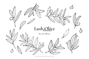Olives – Watercolor & Line Art, a Decorative Illustration by Liliia Polos Illustration (Thumbnail 6 of 12)