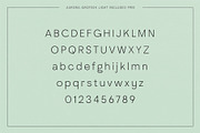Adagio Decorative Ligature Font Duo, a Sans Serif Font by Studio Aurora (Thumbnail 12 of 12)