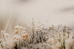 Bourdeilles France Script Font