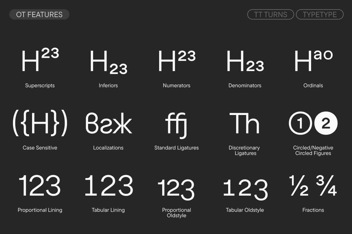 TT Turns, a Sans Serif Font by TypeType (Photo 20 of 26)