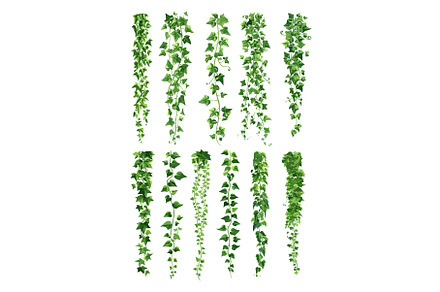 Green liana cartoon vector set, an Object Illustration by Stock-Smart-Start