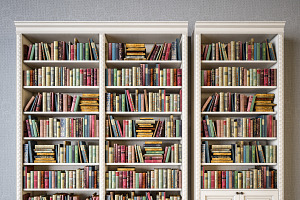 Book Shelves