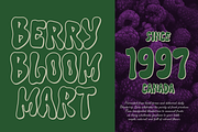 Perosra | Hand Drawn Liquid Font, a Handwritten Font by gracetype_studio (Thumbnail 2 of 12)