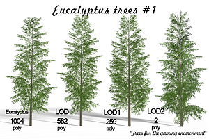 Eucalyptus tree #1