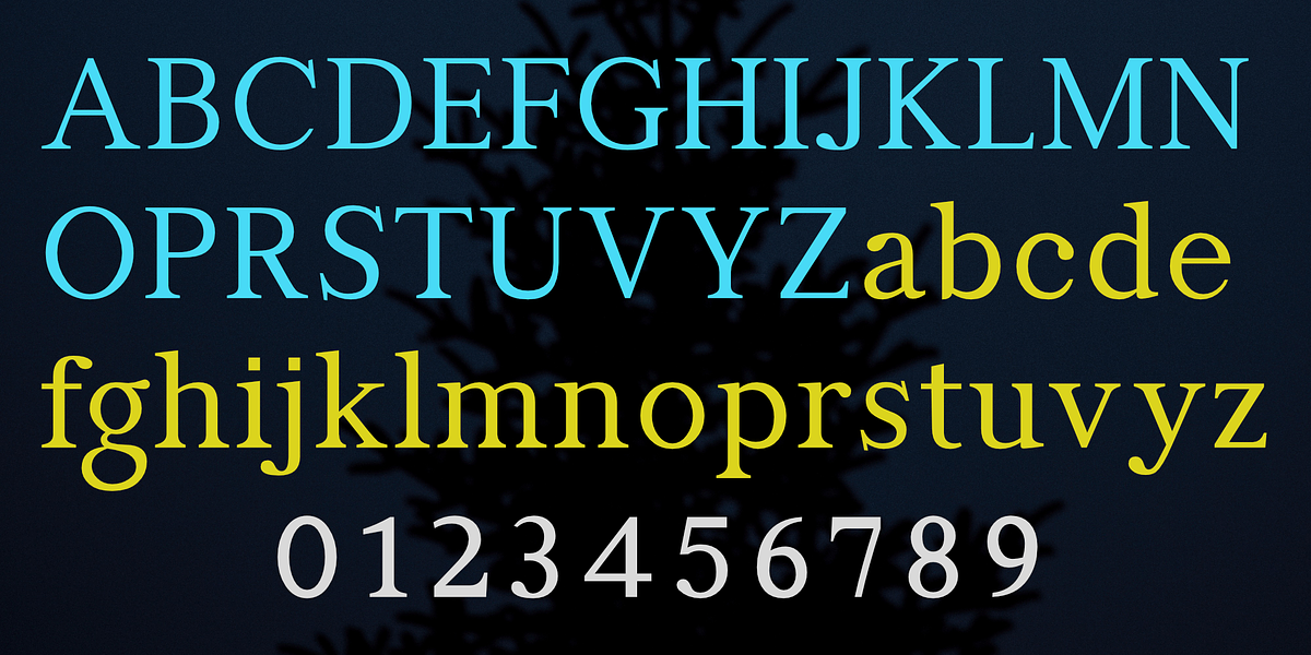 Manas, a Serif Font by Fontuma (Photo 2 of 12)