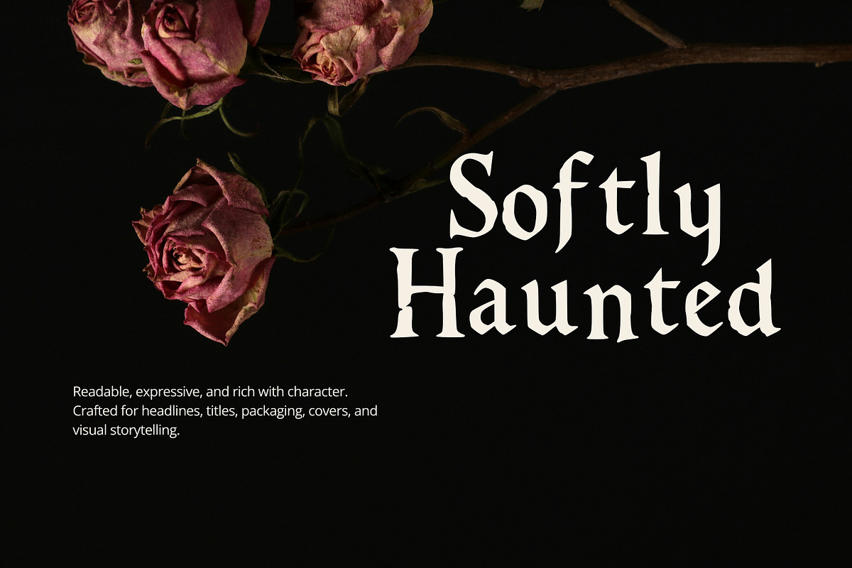 Dark Fairytale Display Serif Font, a Font by foxsong (Photo 5 of 6)