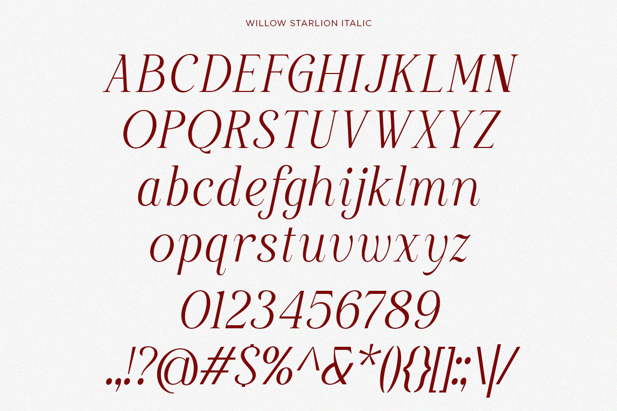 Willow Starlion - Elegant Serif Font, a Serif Font by Say Studio (Photo 10 of 10)