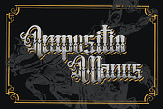 Crayscale-Blackletter Victorian Font, a Blackletter Font by Flawless And Co (Thumbnail 7 of 10)
