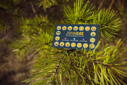 Emoji Travel Pack, a Person Illustration by Brandspark (Thumbnail 6 of 14)
