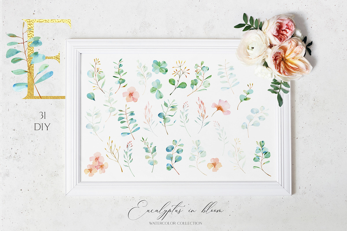 Eucalyptus Bloom Watercolor, a Texture Illustration by Olga Koelsch (Photo 10 of 11)