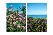 Summer Vacation Bundle 32JPG, a Holiday Photo by WildStrawberry Magic (Thumbnail 13 of 13)