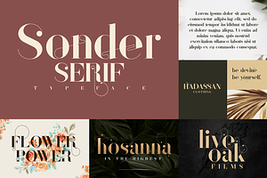 Bestseller Font Collection Vol2