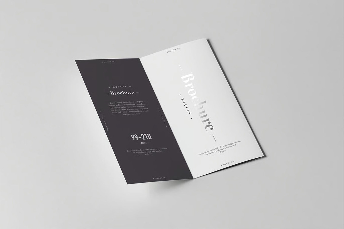 Tri-Fold DL Brochure Mock-up, an Advertising Mockup by zippypixelstudio (Photo 11 of 11)
