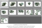 The Eucalyptus Leaves Bundle, a Print Template by Imperium Nordique (Thumbnail 5 of 5)