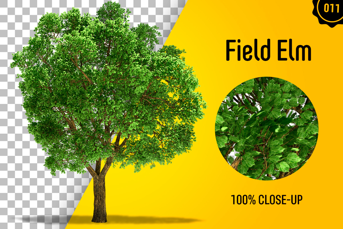 CUT OUT TREES - 60 PCS BUNDLE, a Packaging Mockup by 3DSTORE (Photo 12 of 63)