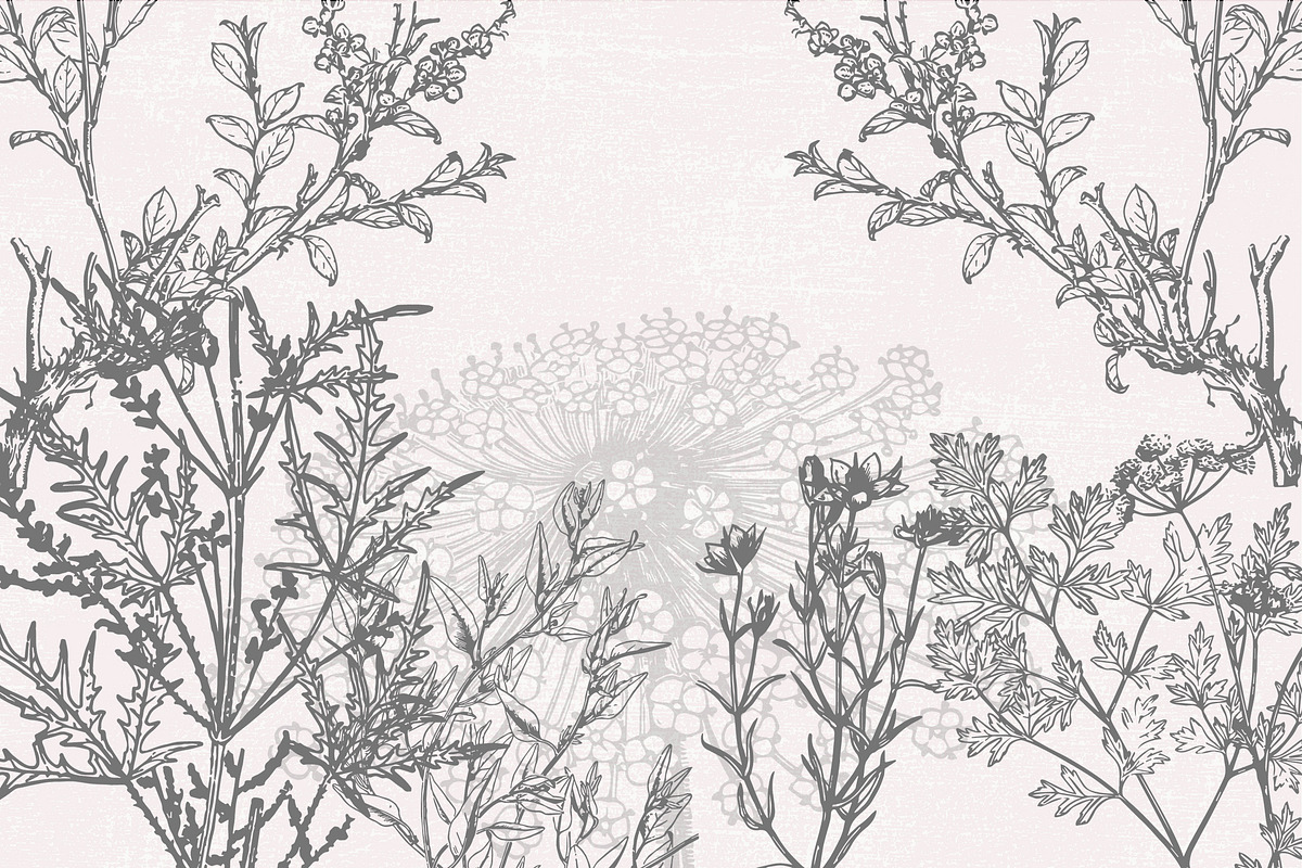 Dried Flowers, Petals, Shoots, an Illustration by TheBlackPixelCo (Photo 3 of 8)