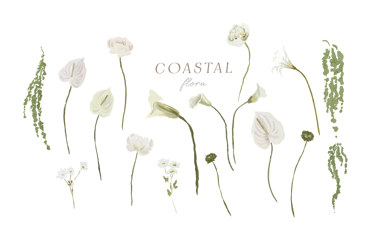 Coastal hand-painted watercolor, a Decorative Illustration by Youksy (Photo 7 of 17)