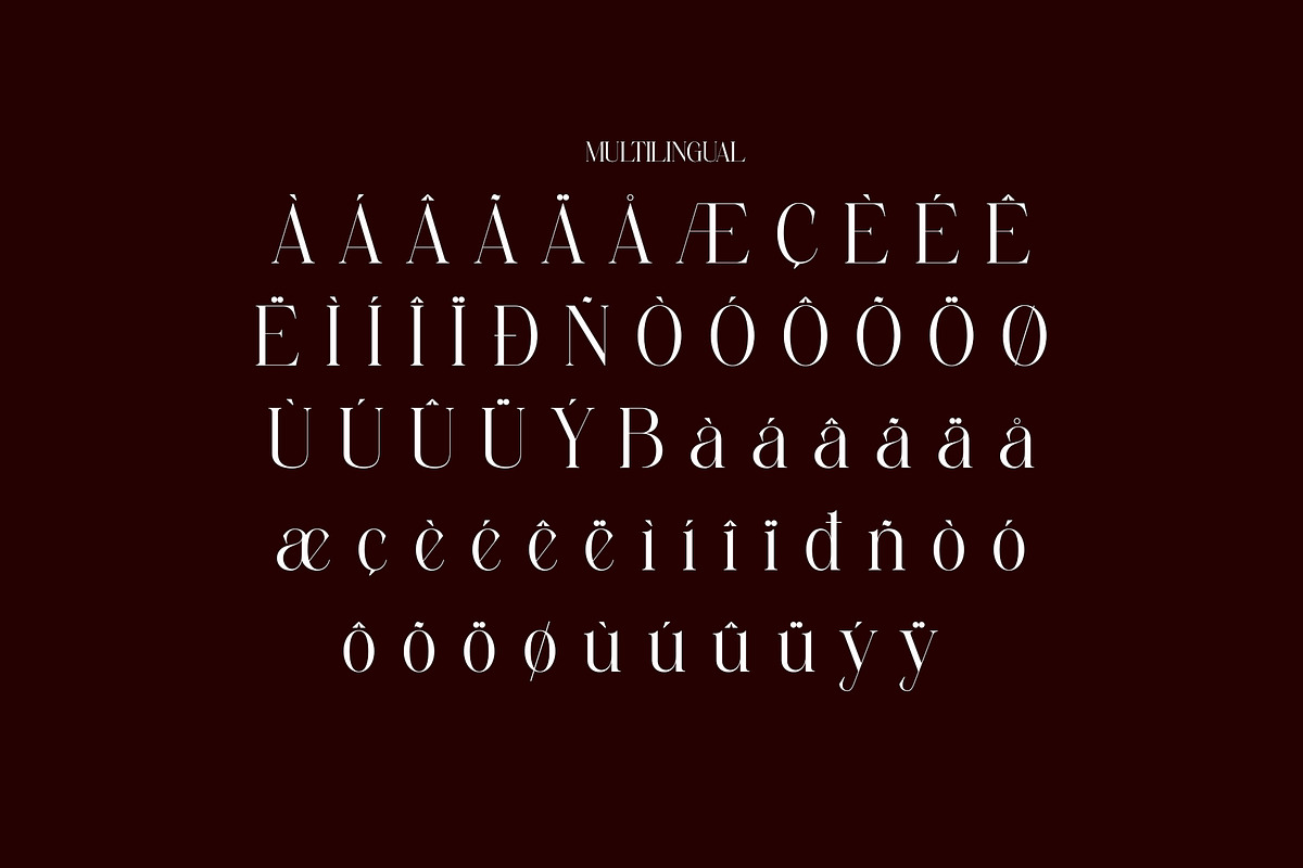 Replice Modern Elegant Serif, a Serif Font by Alfinart (Photo 9 of 11)