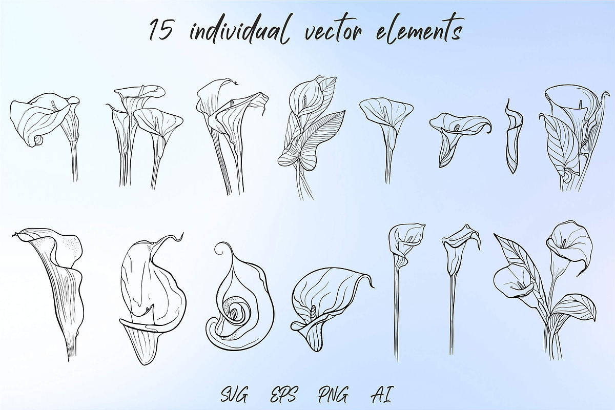 Calla Lily Flower SVG, a Graphic by KostaDigitalArt (Photo 2 of 9)