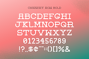 Cannery Row Slab Serif Display Font, a Slab Serif Font by Holt510 (Thumbnail 6 of 11)