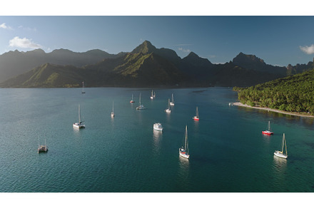 Sailboats yachts and catamarans, a Nature Photo by Goinyk