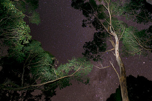 Starry Sky, a Nature Photo by THP Creative
