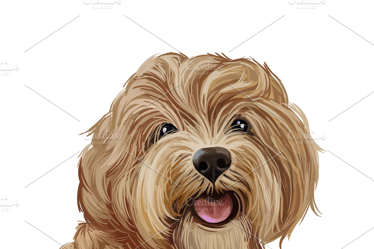Dogs Cross Breeds 56 Animals Bundle, an Animal Illustration by Dneprstock (Photo 51 of 55)