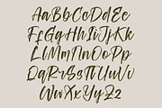 Ungkar Scripta Modern Brush Font, a Script Font by stylishtype.co (Thumbnail 4 of 20)