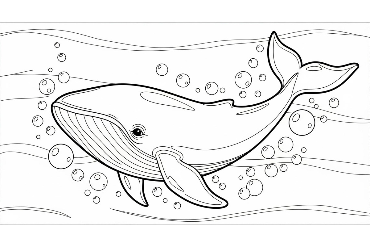 Whale Line Art Vector Bundle, an Illustration by yasushie (Photo 11 of 51)