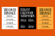 Bargckiss Contemporary Serif Display, a Serif Font by timelesstype.co (Thumbnail 2 of 10)