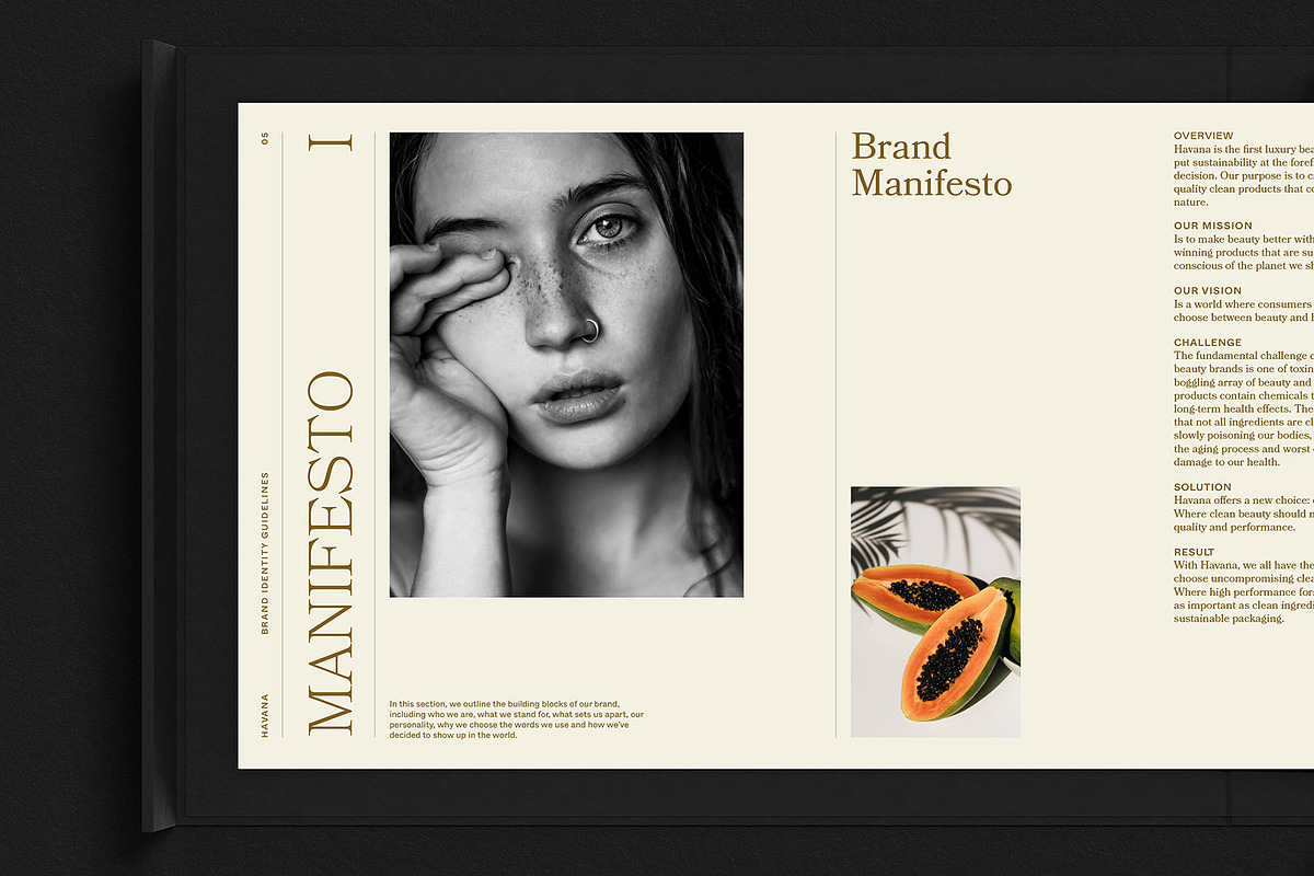 HAVANA / Brand Guidelines Template, a Presentation Template by Circular (Photo 6 of 15)