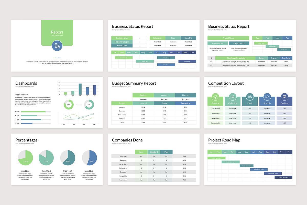 Business Plan Infographic PowerPoint, a Presentation Template by ...