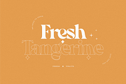 Peach - Modern Chic Serif, a Serif Font by Sans & Sons (Thumbnail 5 of 9)