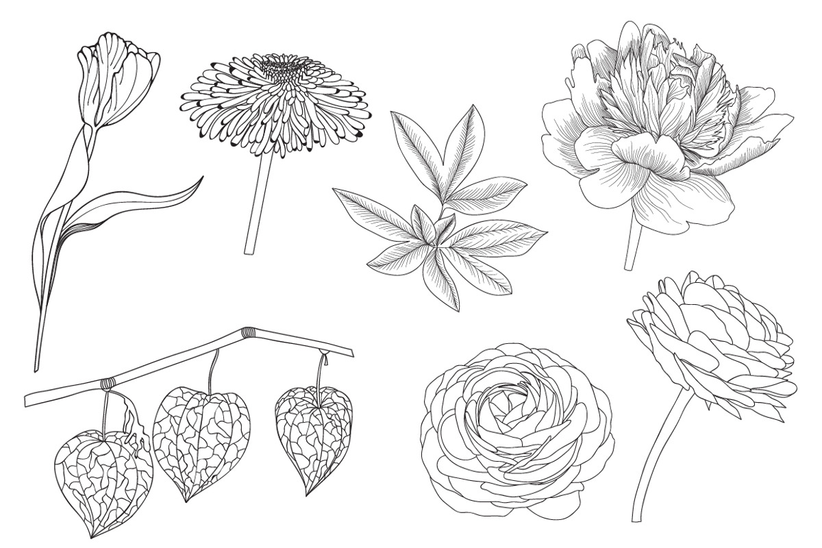Hand drawn flowers, a Graphic by lycka (Photo 4 of 4)